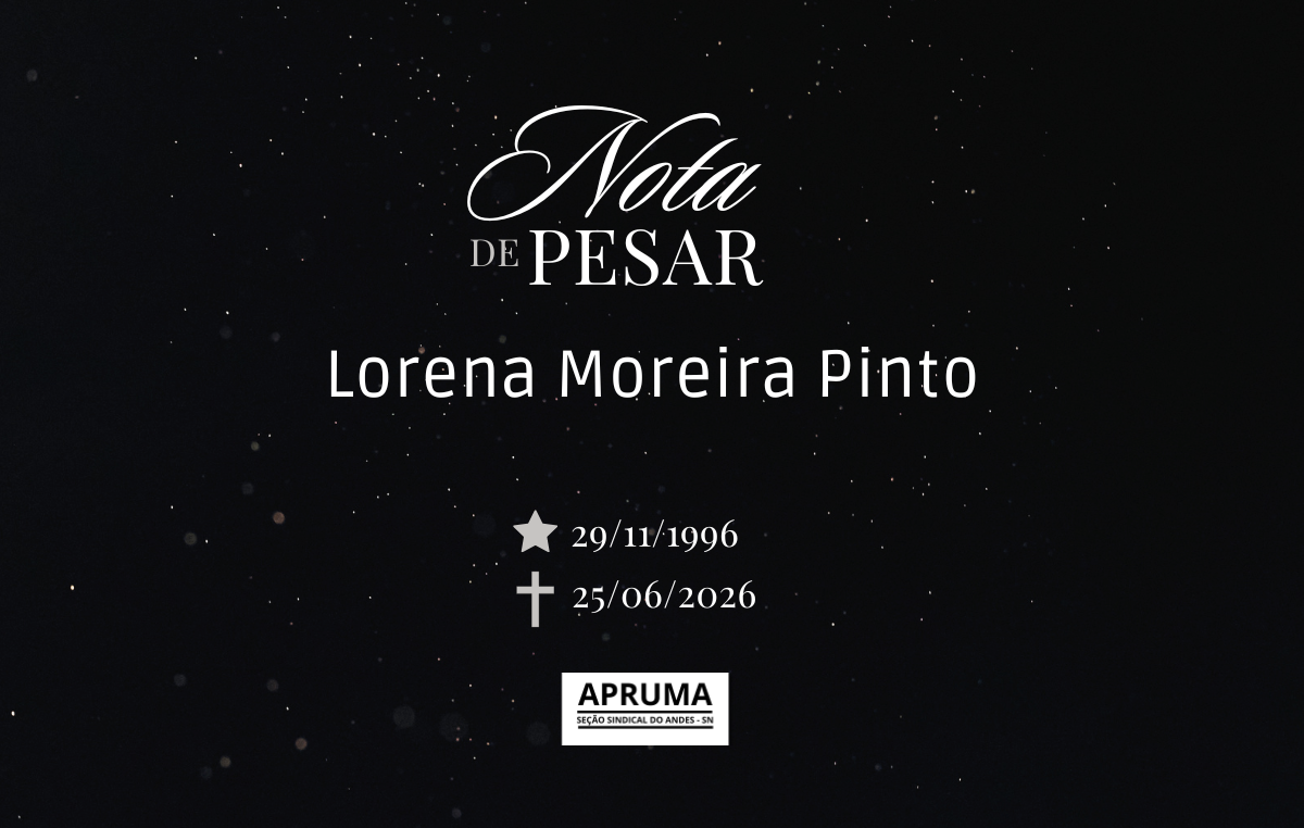 NOTAS DE PESAR - Lorena Pinto